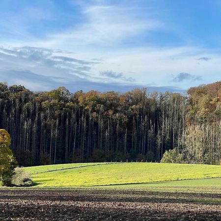 Ferienhaus Kleine Auszeit In Der Natur Mit Kamin, Yogamatten, Schoene Kueche Extertal Buitenkant foto
