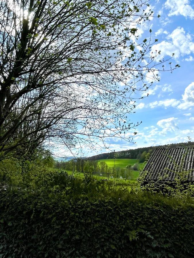 Ferienhaus Kleine Auszeit In Der Natur Mit Kamin, Yogamatten, Schoene Kueche Extertal Buitenkant foto